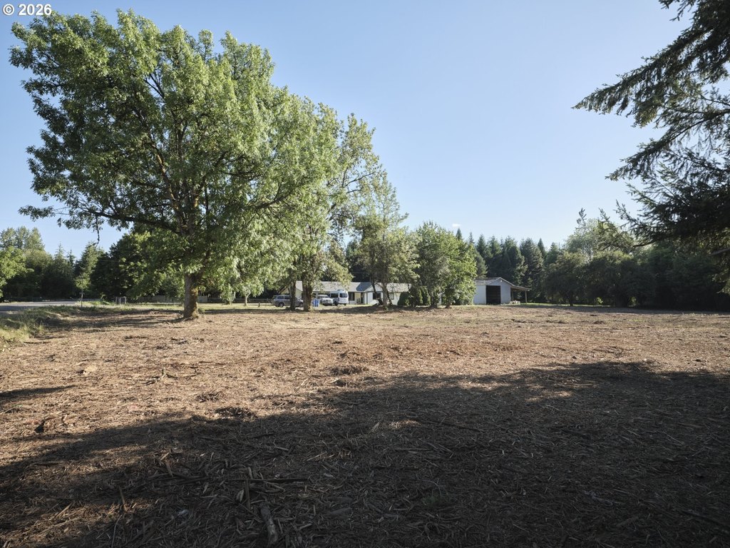 Picture 21