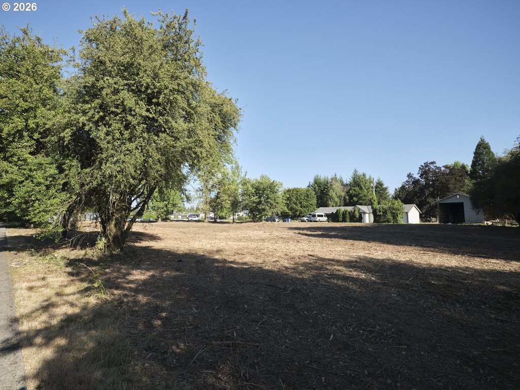 Picture 20