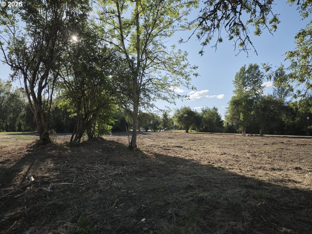 Picture 14