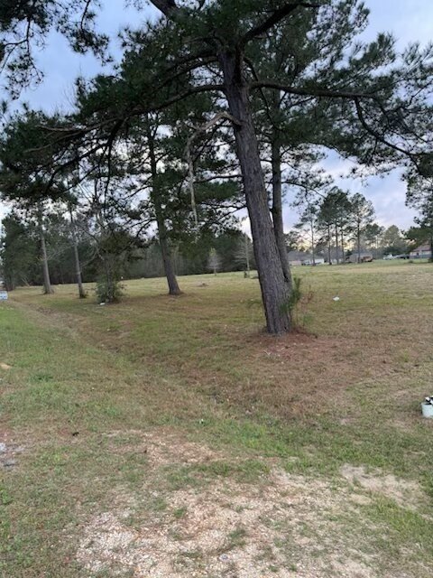 Picture 2