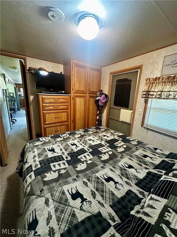 Picture 13