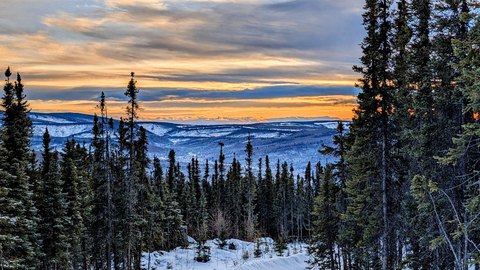 LAND - Fairbanks, AK