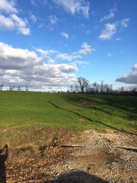 Residential Land in Madisonville, KY