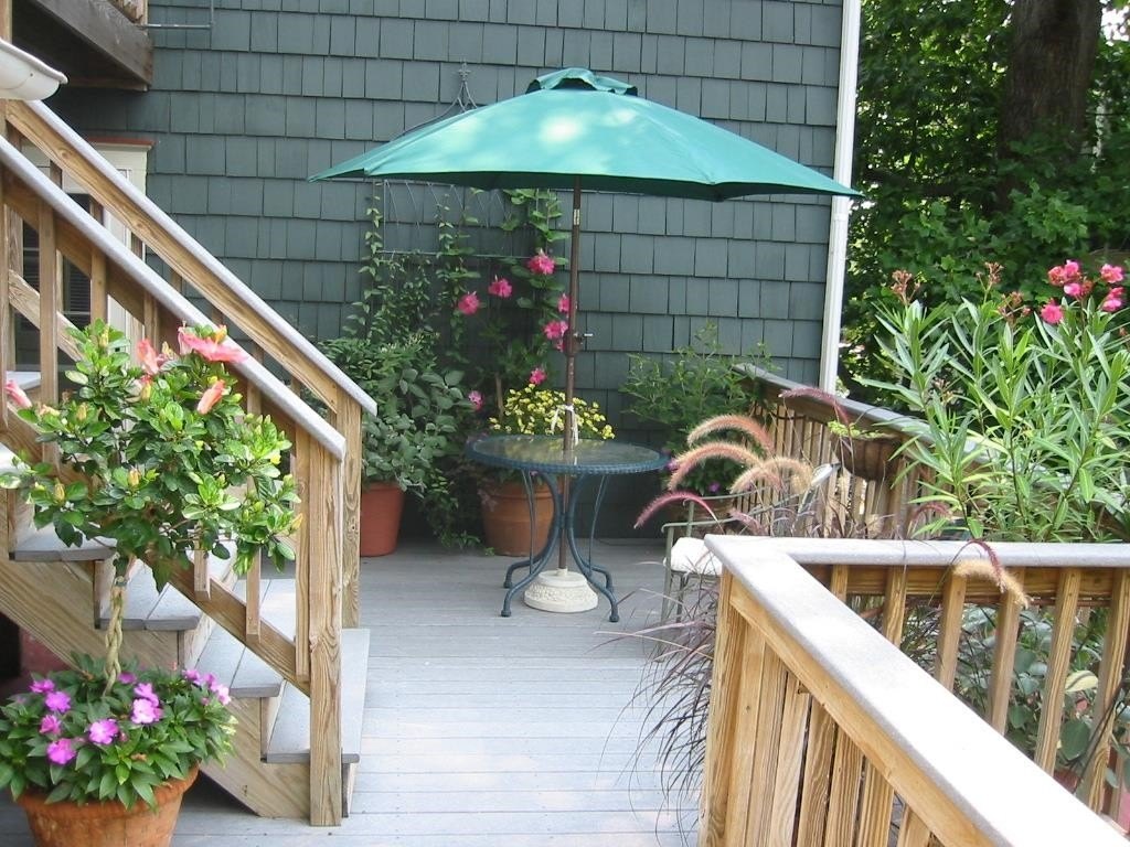 Picture 8