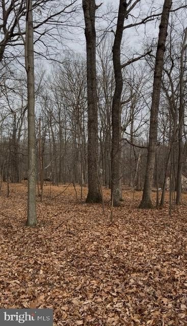 Wooded Lot Near Winchester