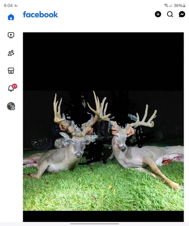 Picture 41