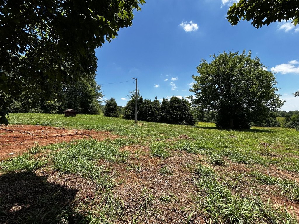 Picture 19
