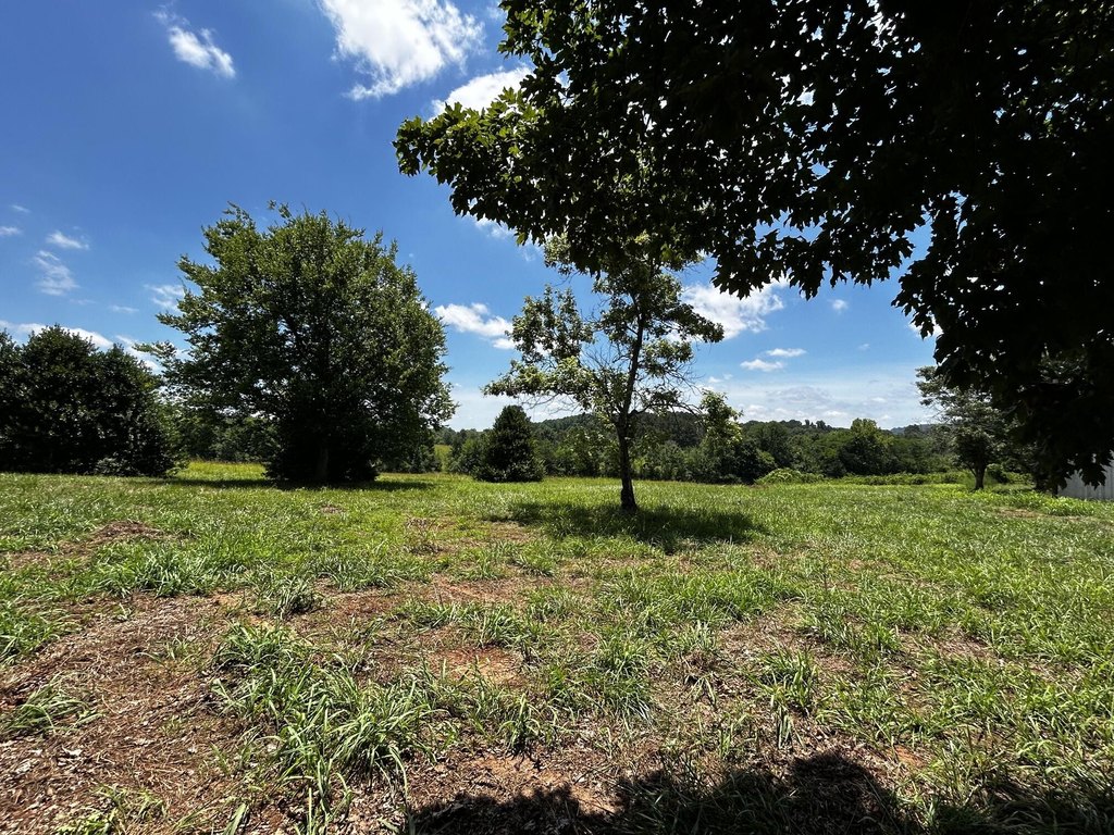 Picture 18
