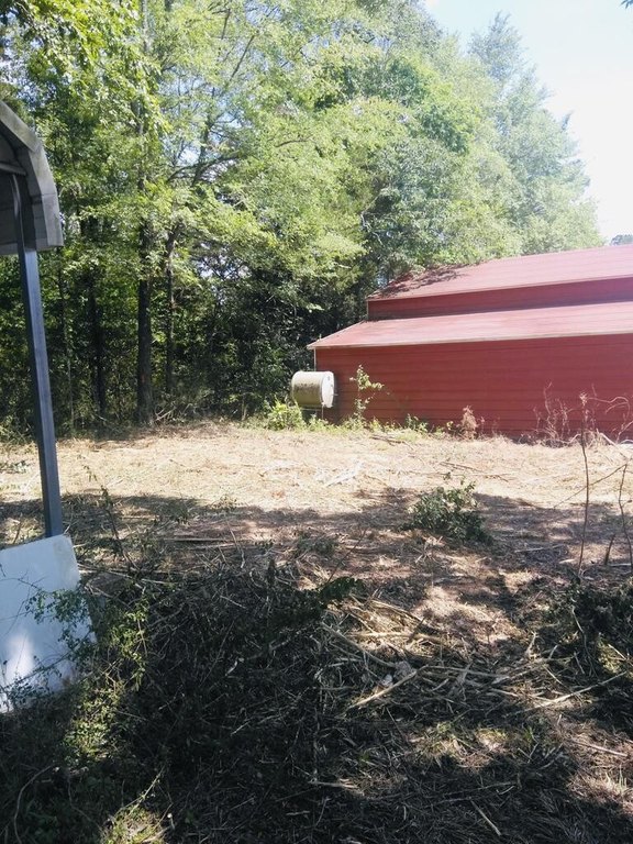 Picture 8