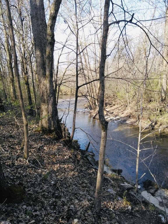 Picture 4