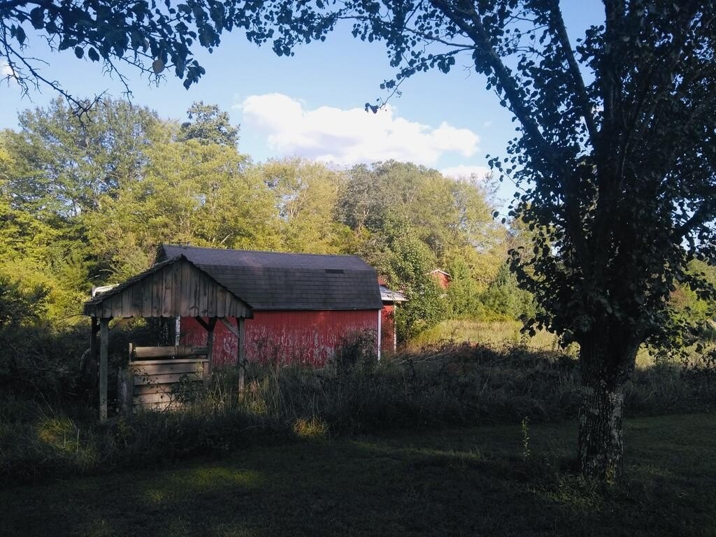 Picture 7