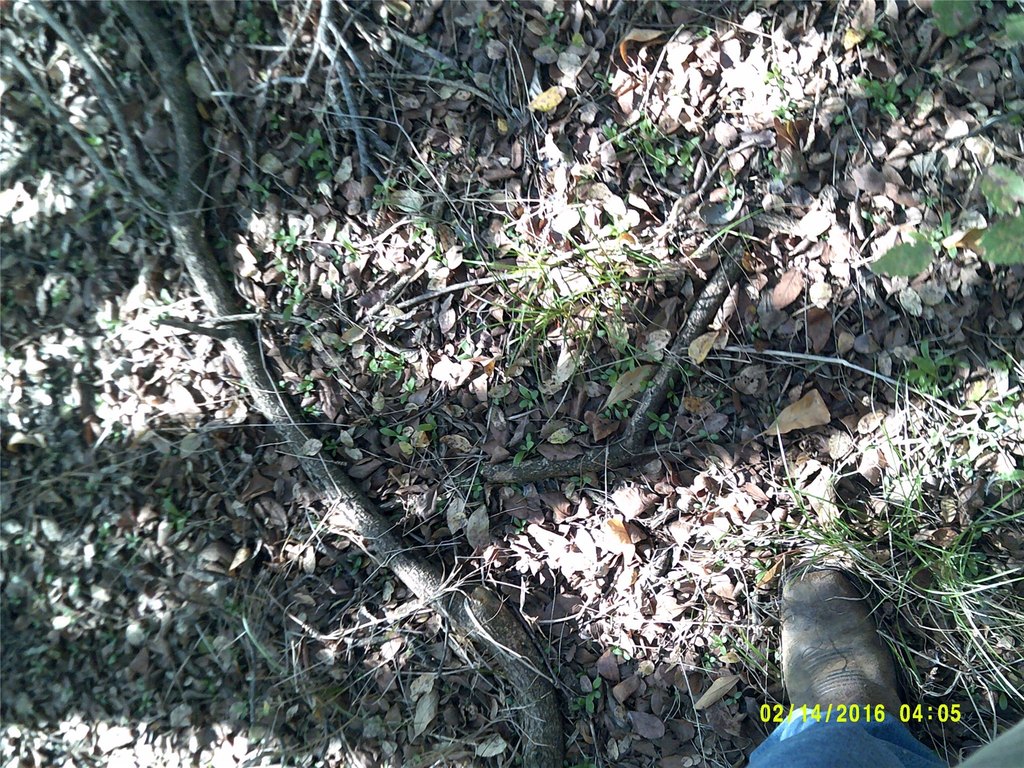 Picture 16