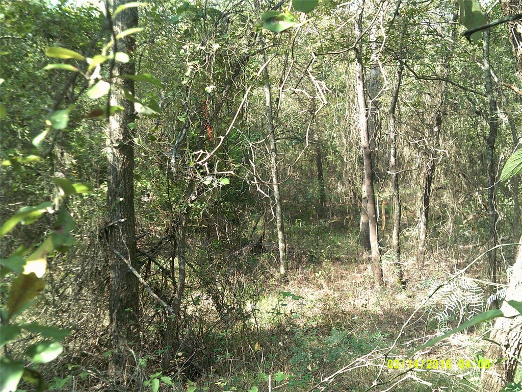 Picture 22