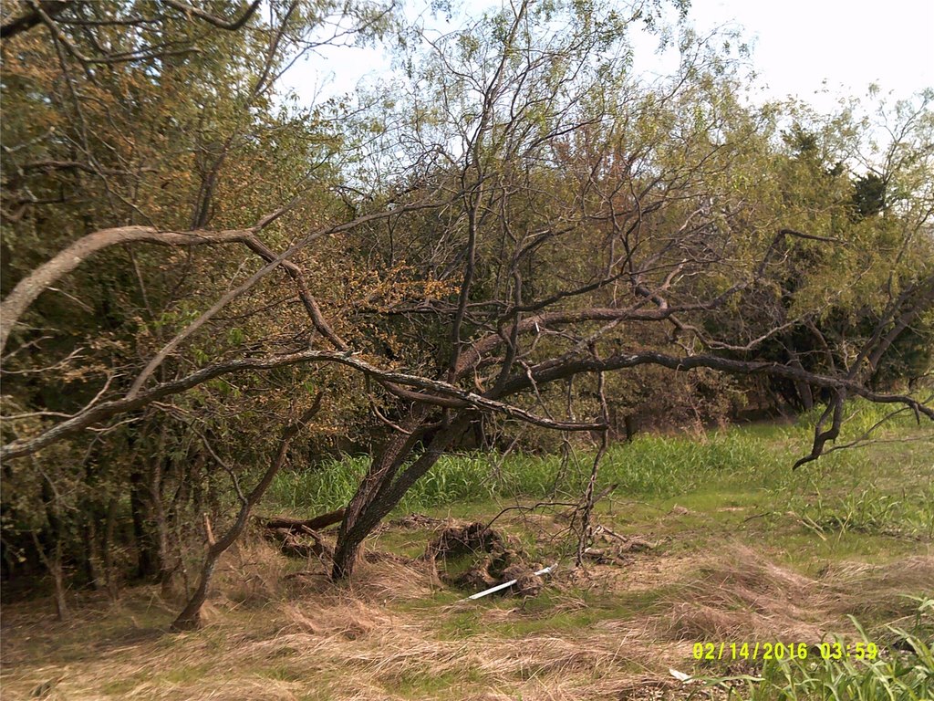 Picture 7