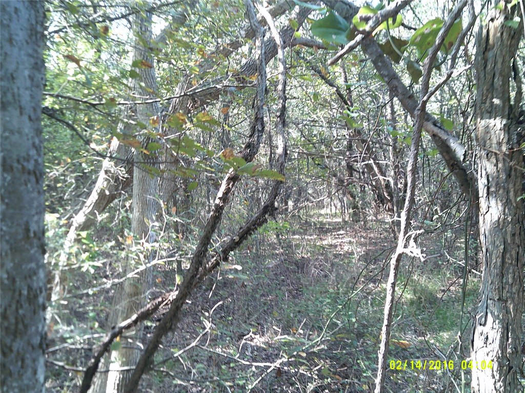 Picture 13