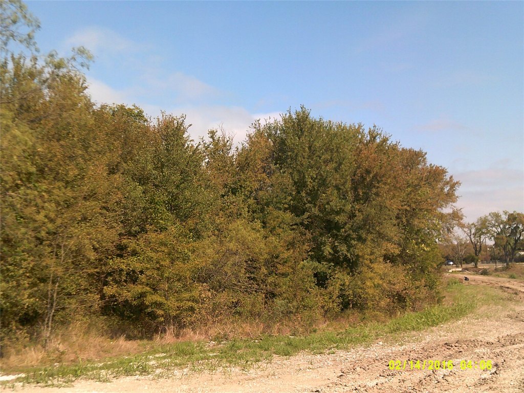Picture 19