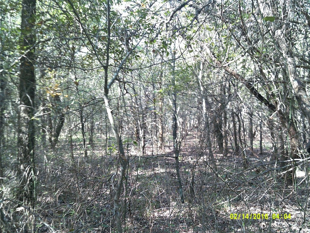 Picture 14