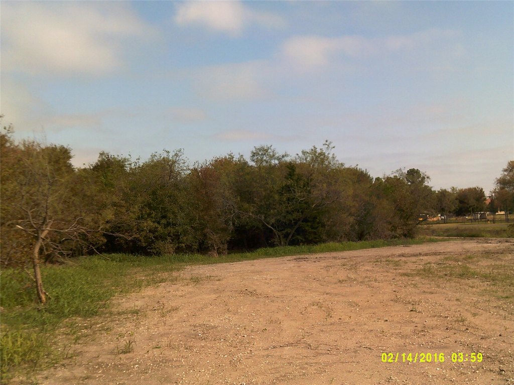 Picture 2