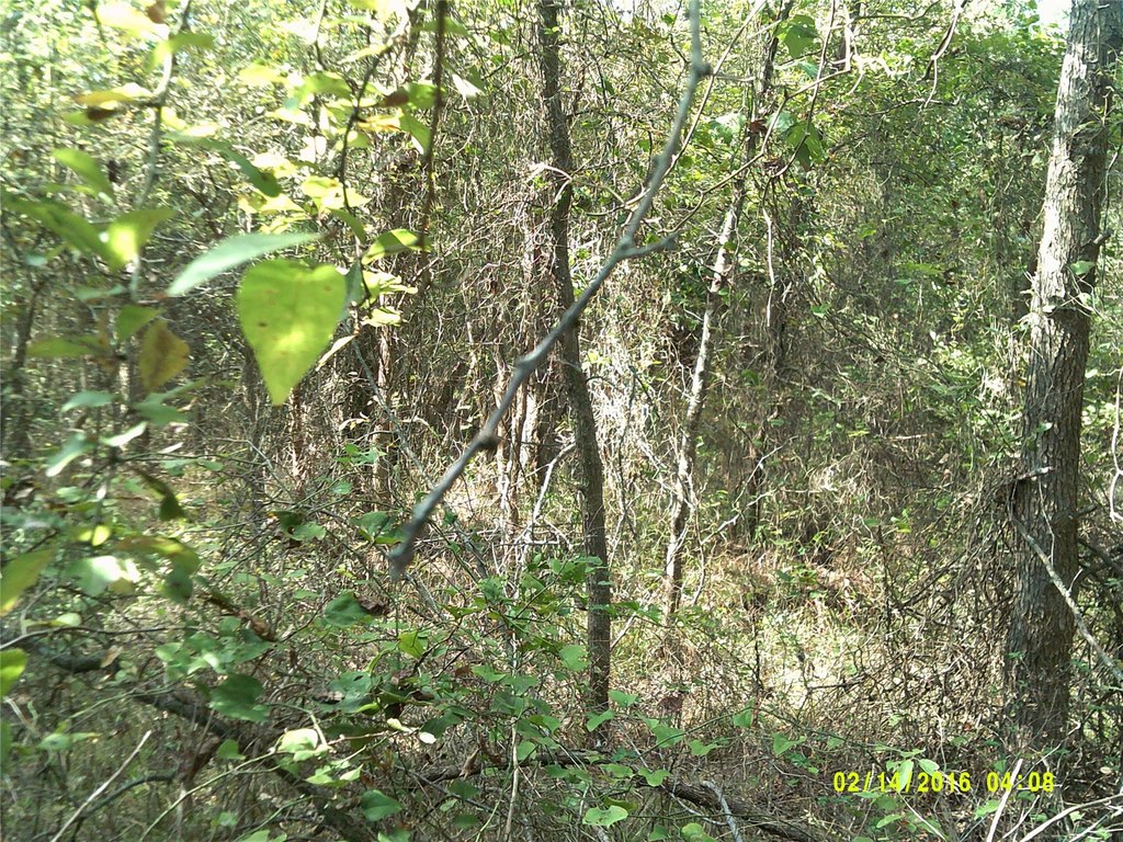 Picture 21