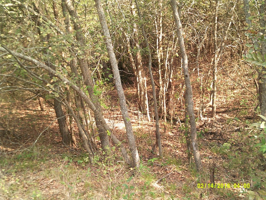 Picture 9