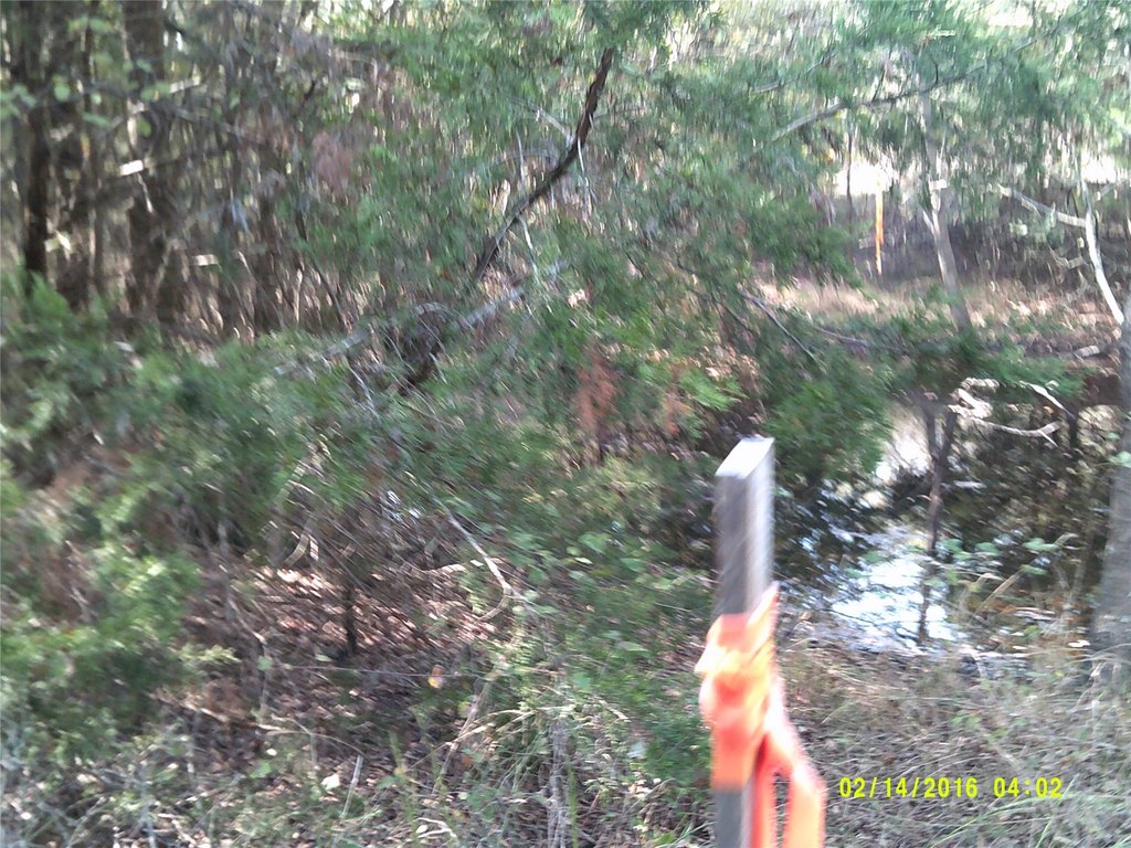 Picture 11