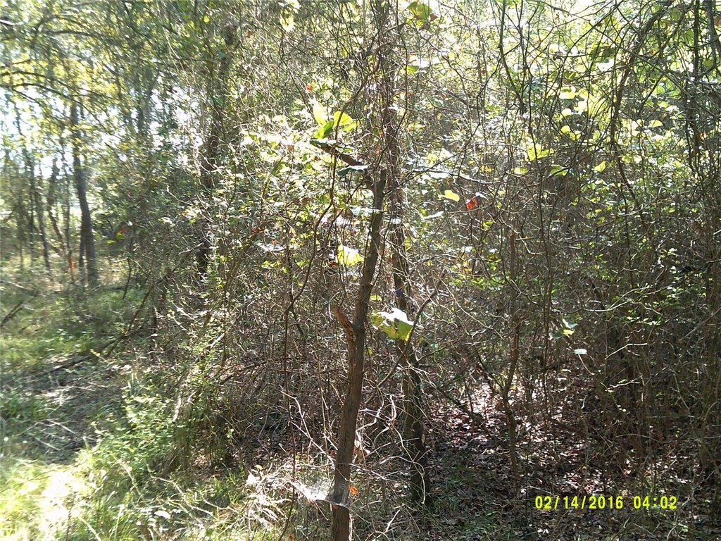 Picture 12