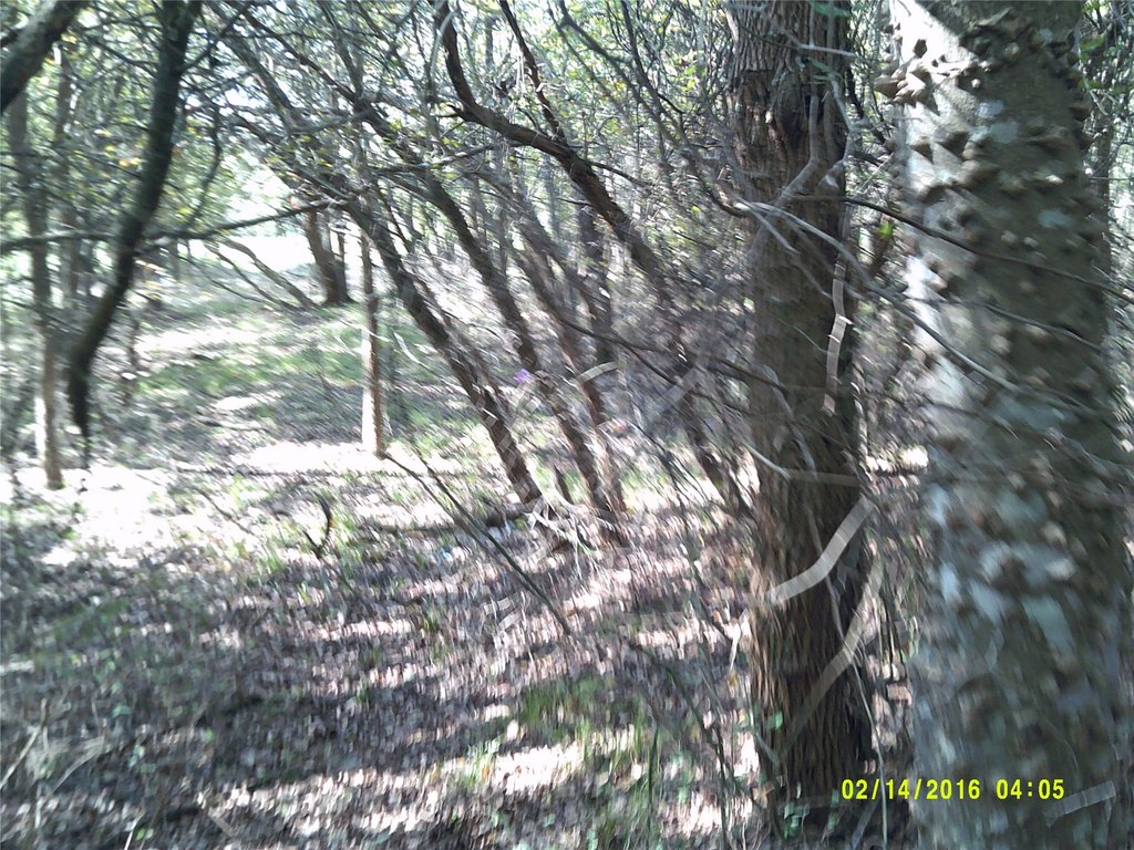 Picture 15