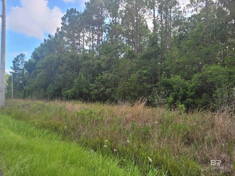 Commercial-Residential Wooded Land Parcel