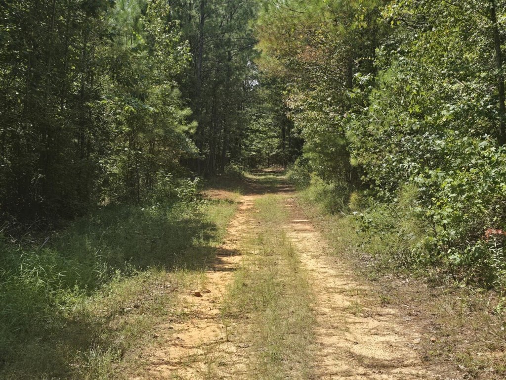 Picture 5