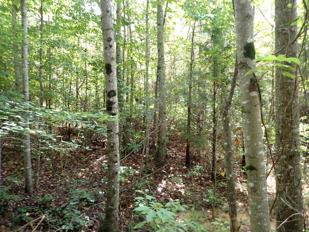 Picture 2