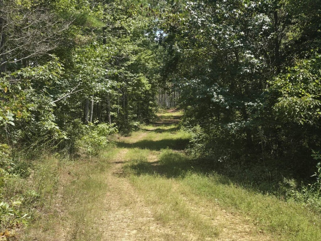 Picture 3
