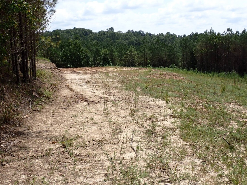 Picture 8