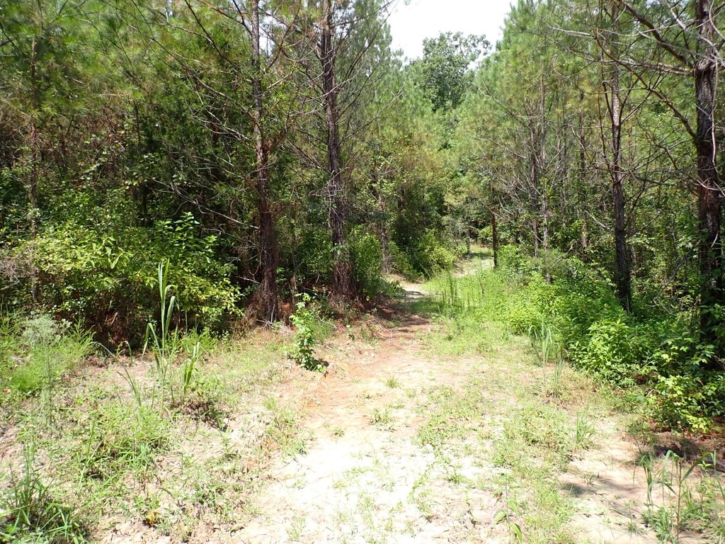 Picture 13