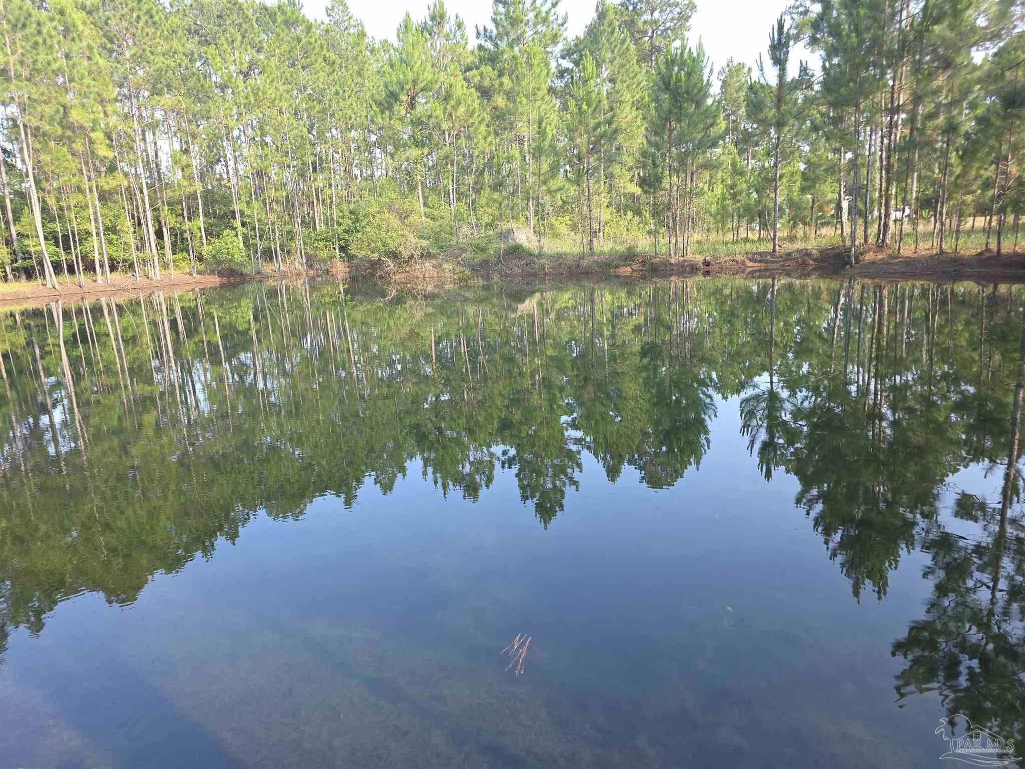 Two-Acre Lot with Pond