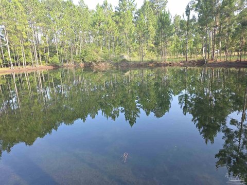 Pensacola Land with Pond