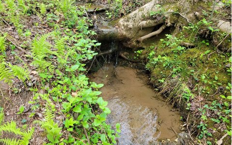 Recreation Land with Creek