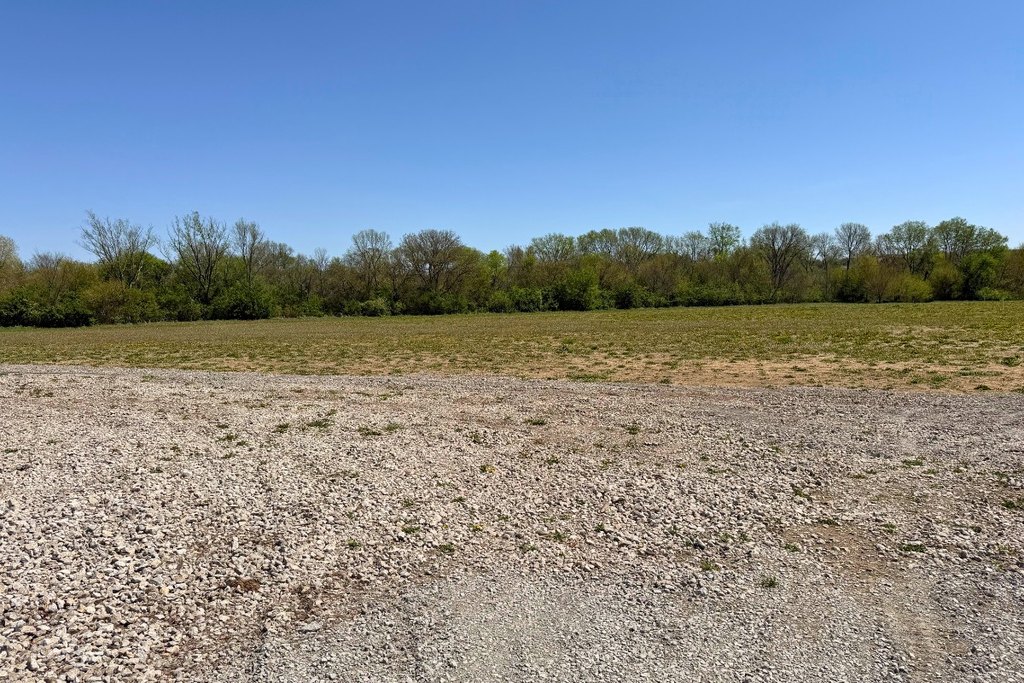 Picture 4