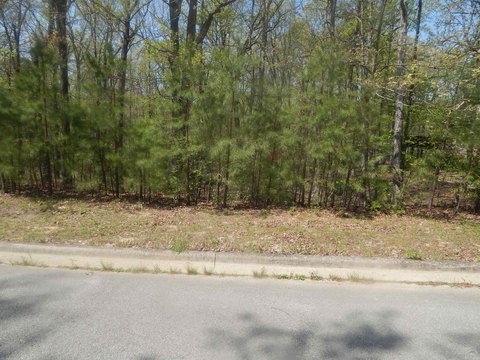 Residential Lot in Established Subdivision