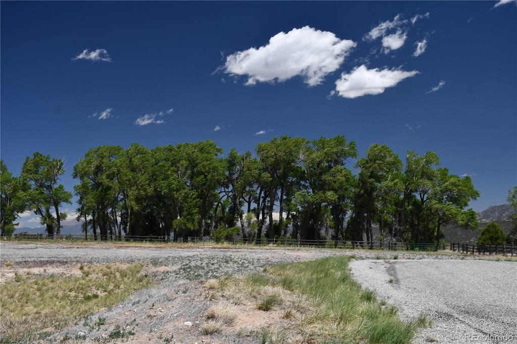 Picture 35