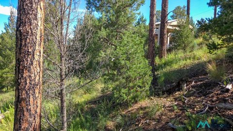Land, Alto, NM