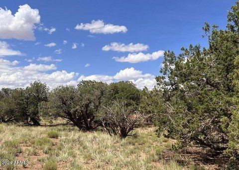 Residential Land in Snowflake, AZ
