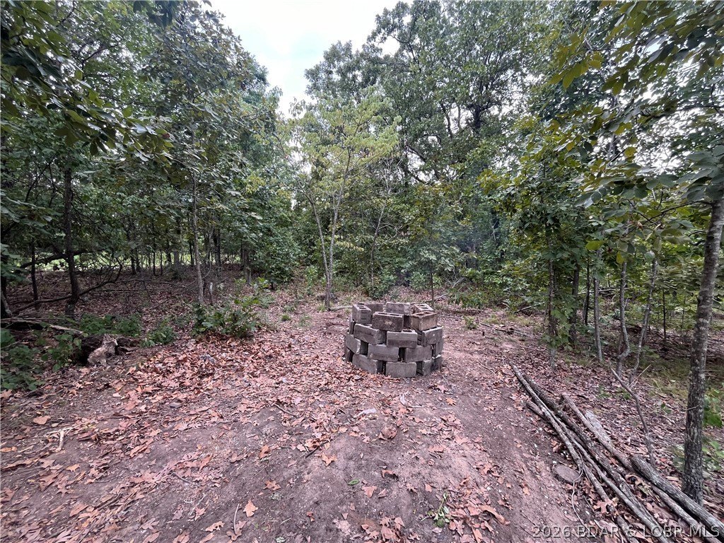 Picture 10