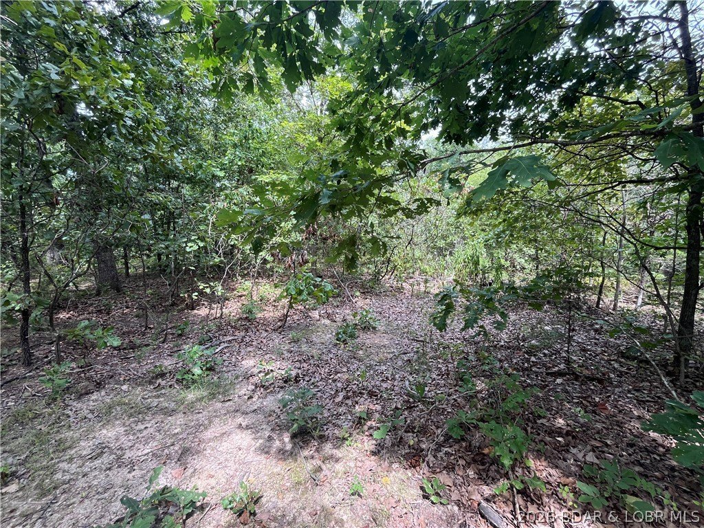Picture 23