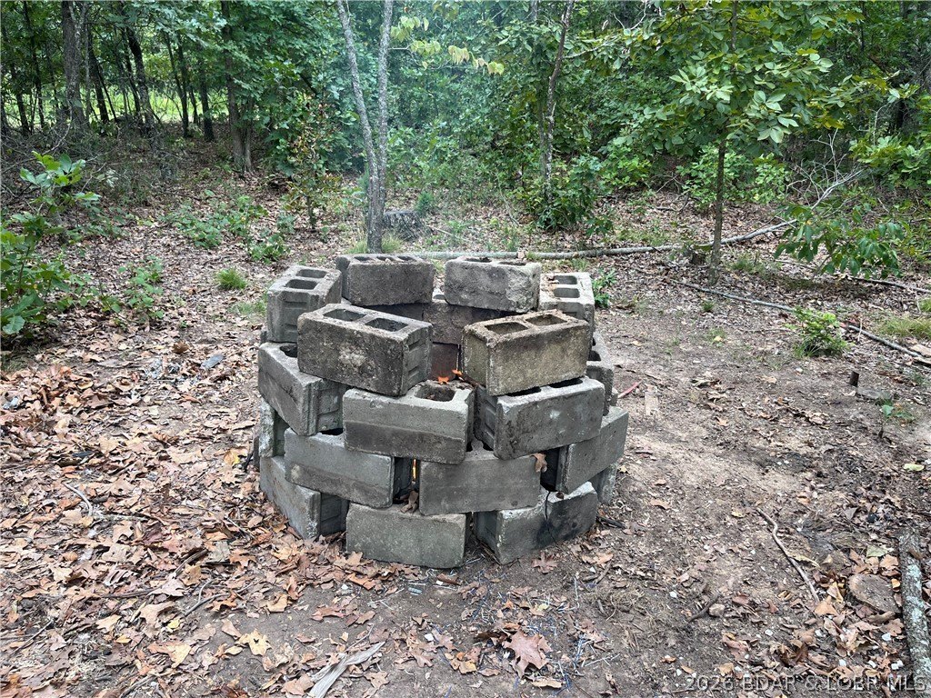 Picture 8