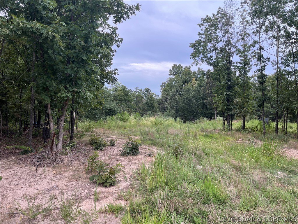 Picture 25