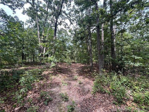 LAND - Climax Springs, MO