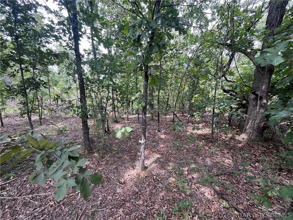 Picture 24
