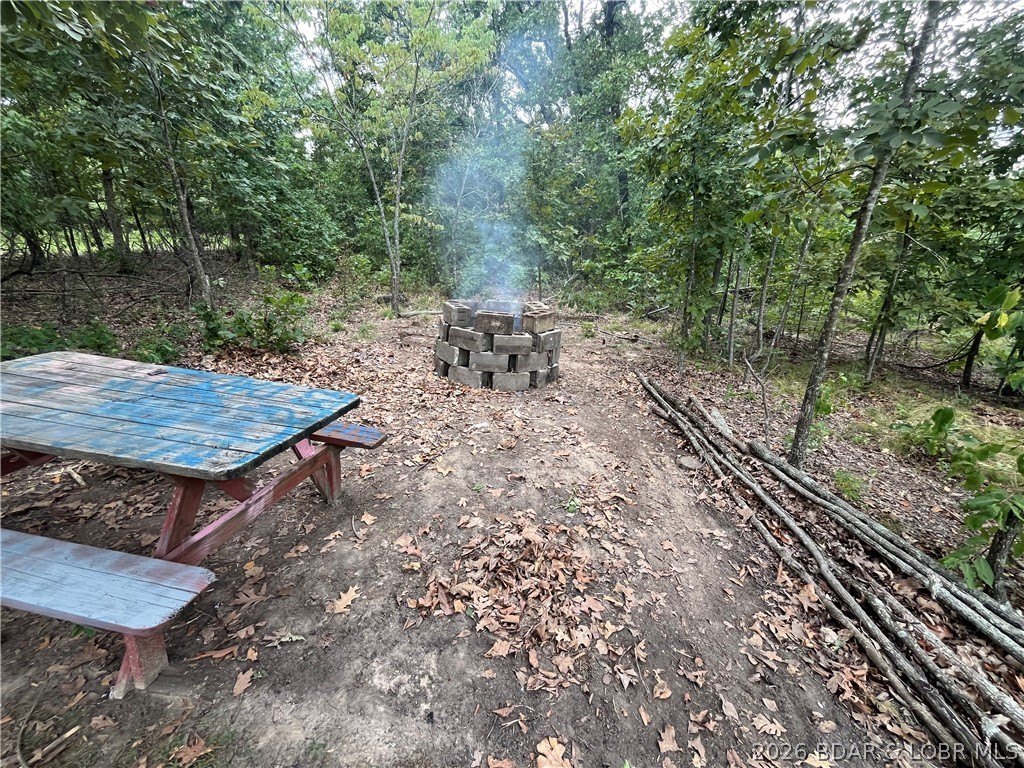 Picture 12