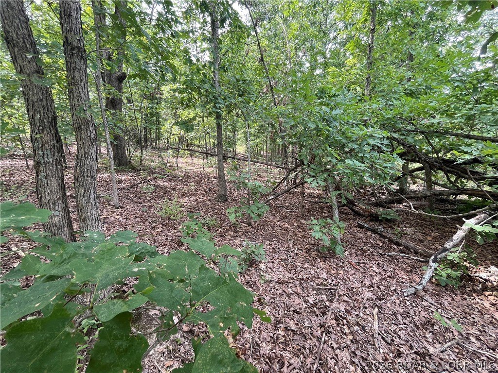 Picture 26