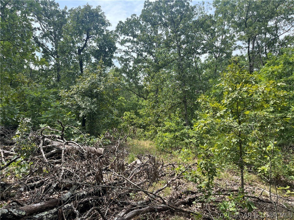Picture 30